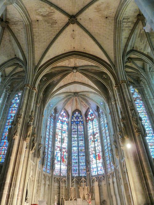 Carcassonne (Aude) : ville basse et basilique de la cité médiévale