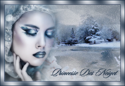 Princesse Des Neiges