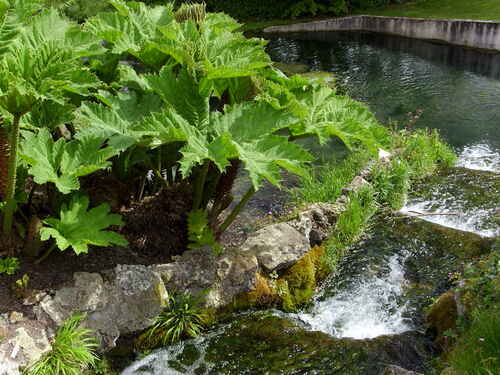 Jardins du Plessis Sasnière