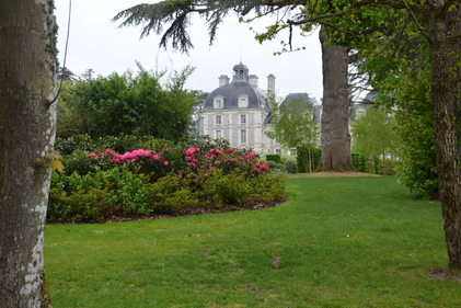 Randonnée à vélo dans le val de Loire (avril 2014)