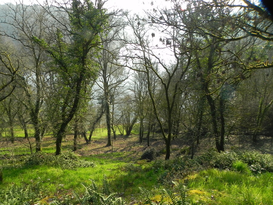 la splendeur de Mervant en Vendée