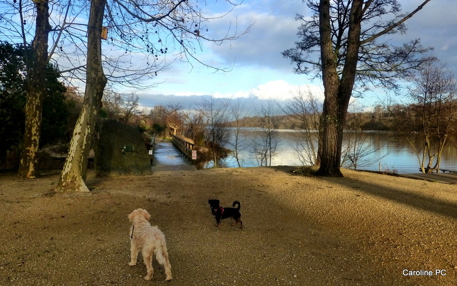 L'hiver au lac de Mimizan