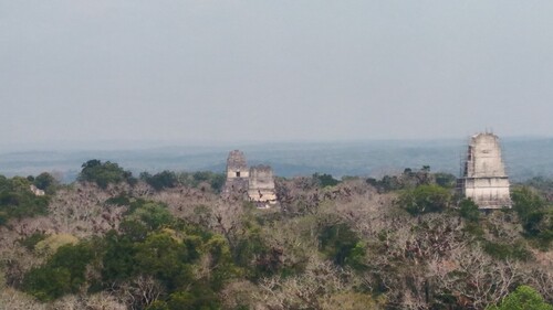 Tikal, El Remate, Flores, Petén Guatemala