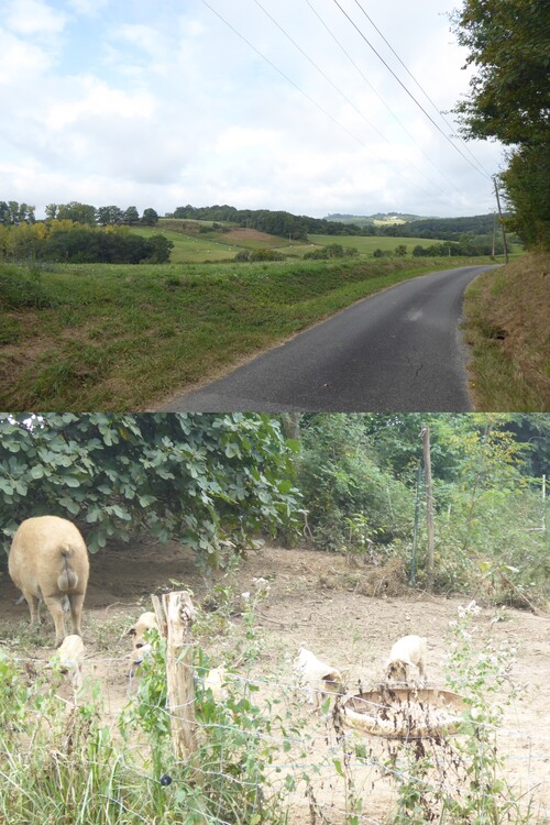 Brassempouy (40) et Saint-Sever(40)