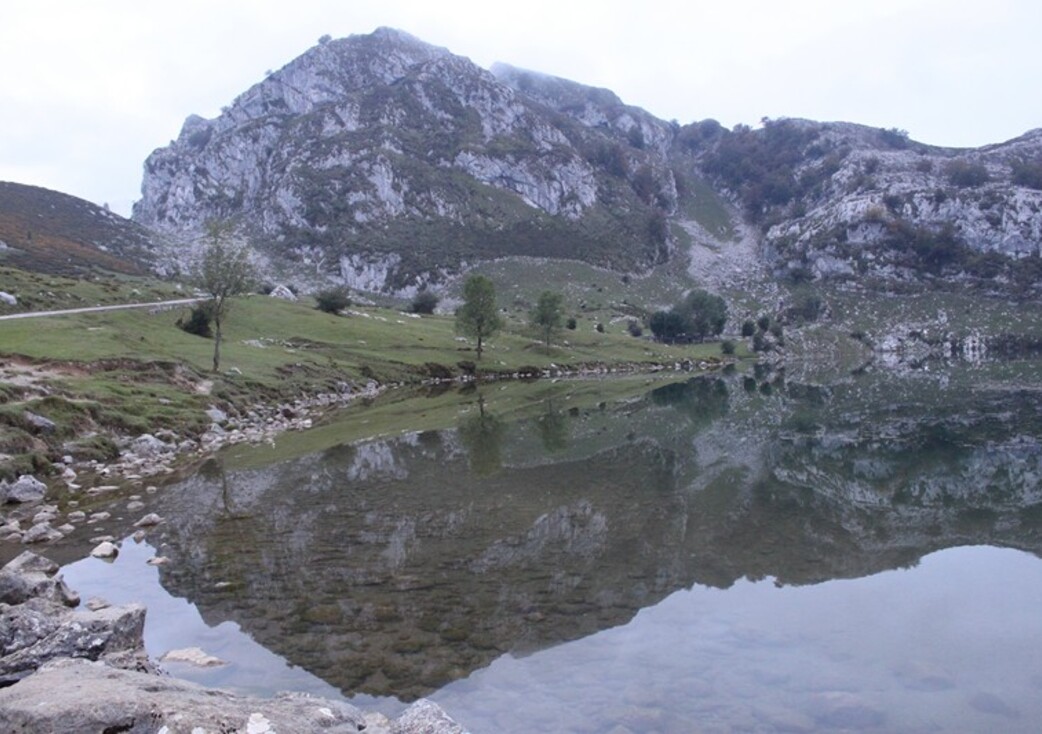6 Lac de Covadonga (13)