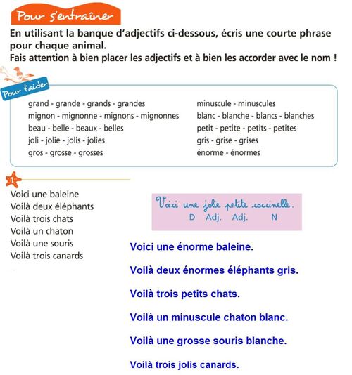 Orthographe: les accords des adjectifs