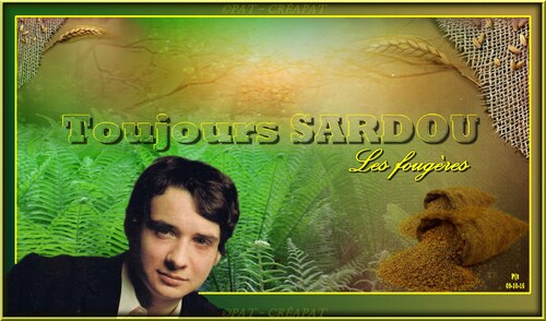 Michel SARDOU 082