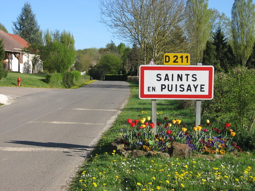 SAINTS (Yonne) : aujourd'hui !