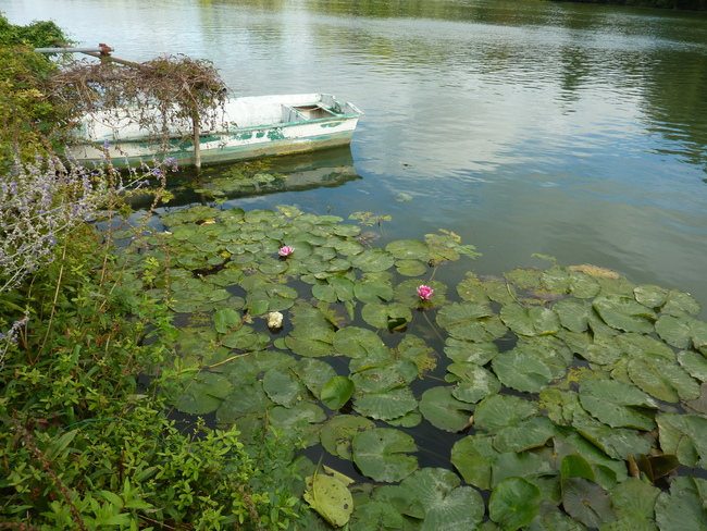 Faites moi................un cygne