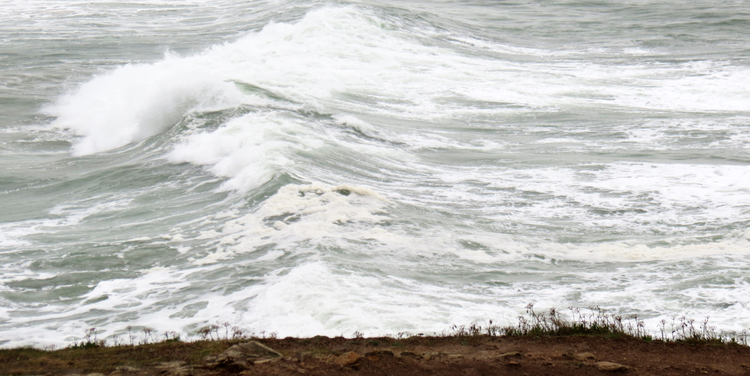 Après la nuit de tempête ... (Suite)