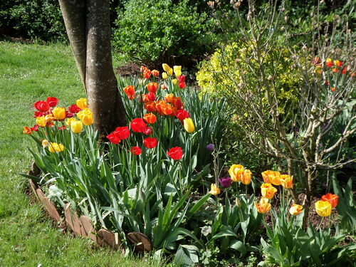 Le jardin le  avril 