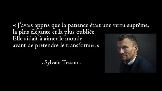 Sylvain Tesson Citations (@sylvain_tesson_citations) • Instagram