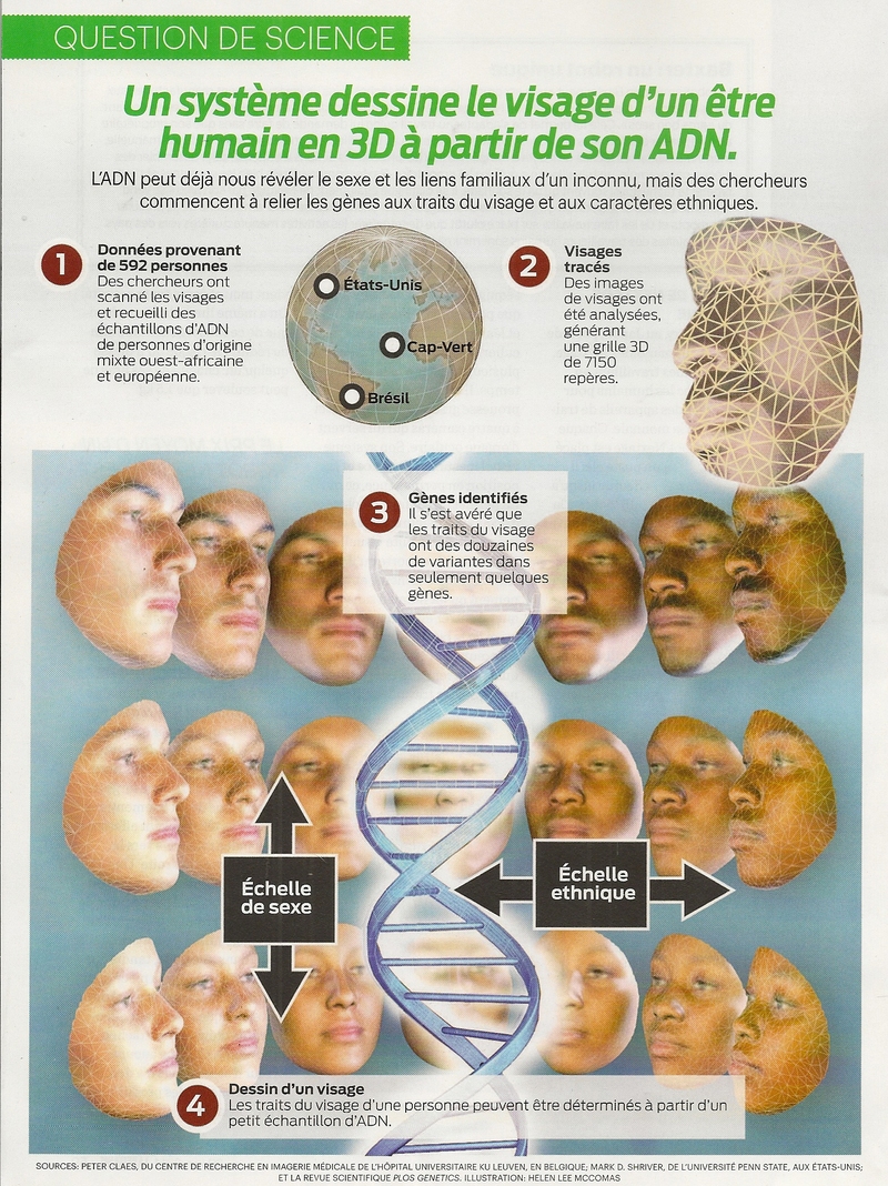 Question de Science:  Un système dessine le visage d'un être humain...