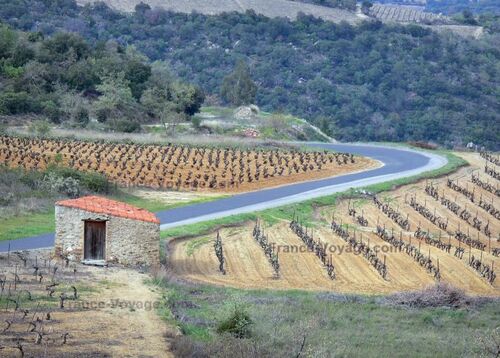              *AUTRES  VINS : du LANGUEDOC ROUSSILLON & de PROVENCE**N°5.*