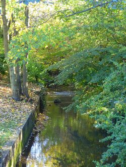 Le Moulin Fouret