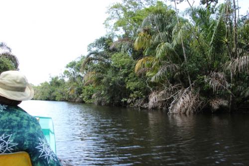 Tortuguero (Costa Rica) suite