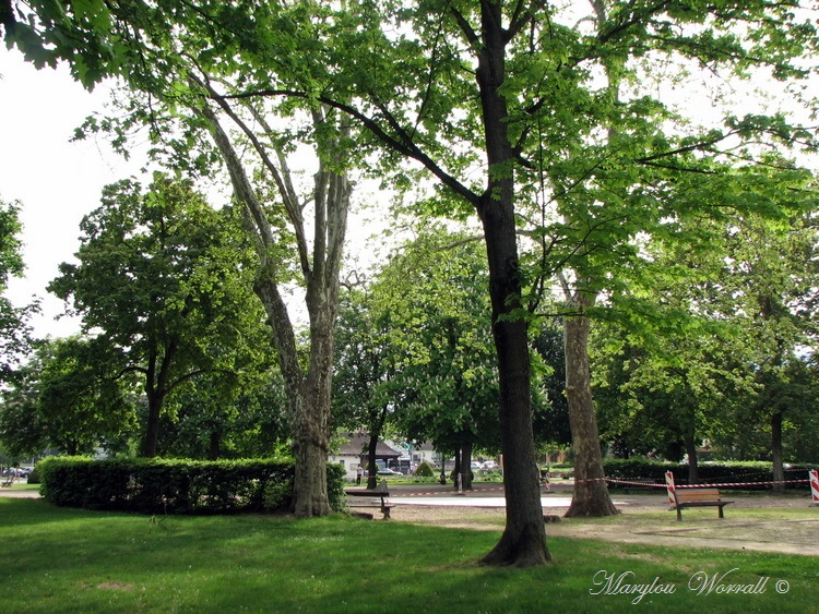 Ribeauvillé : Balade au parc