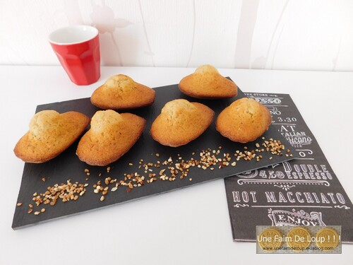 Madeleines au pralin