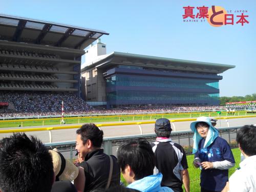 Le terrain de la course hippique !