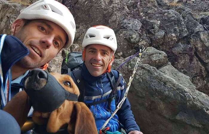 Pyrénées : Les gendarmes libèrent un chien coincé depuis deux nuits dans une barre rocheuse