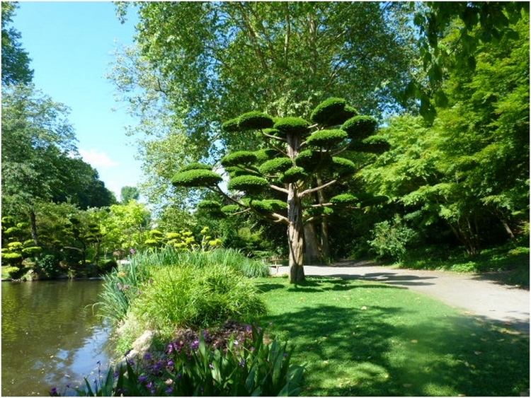 Ambiance zen à  Maulevrier   (1)