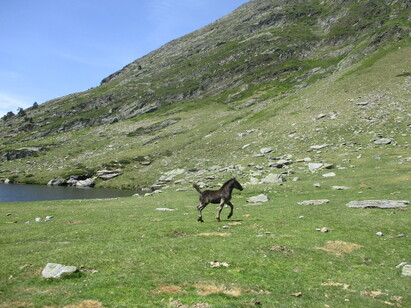 Cabane (2 nuits) : estanys del Port & de Mariola (Val de Cardós) - Alt Pirineu / Espagne