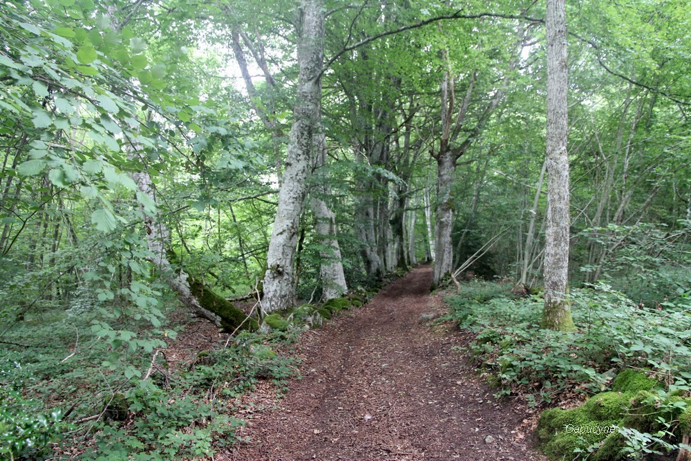 Images de  Creuse -2-  les chemins...