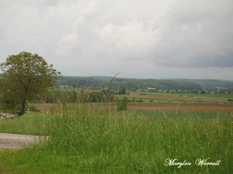 rencontres sundgau