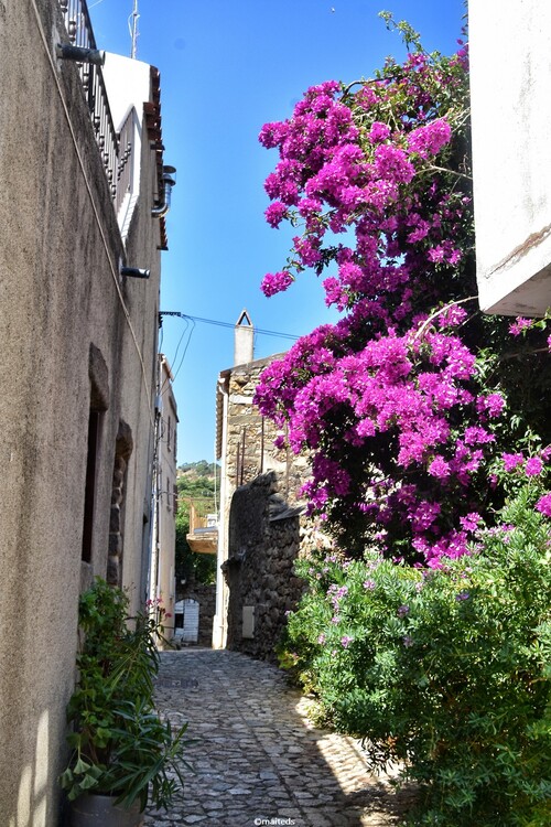 Dans les ruelles de Santa-Reparata-di-Balagna   Corse