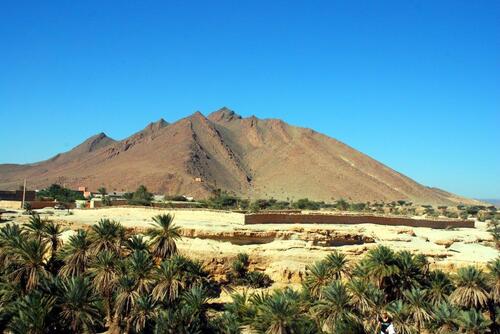 La palmeraie et le djebel