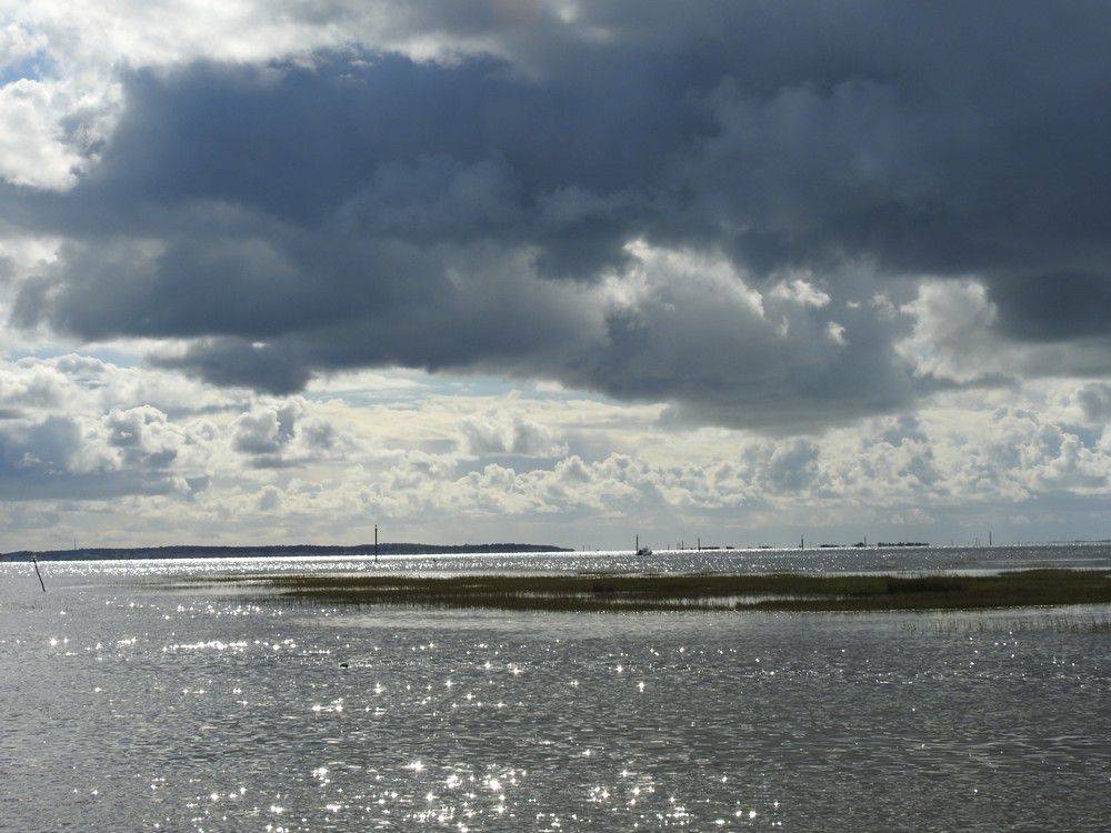 Balade au bord du Bassin d'Arcachon, juste avant l'averse...