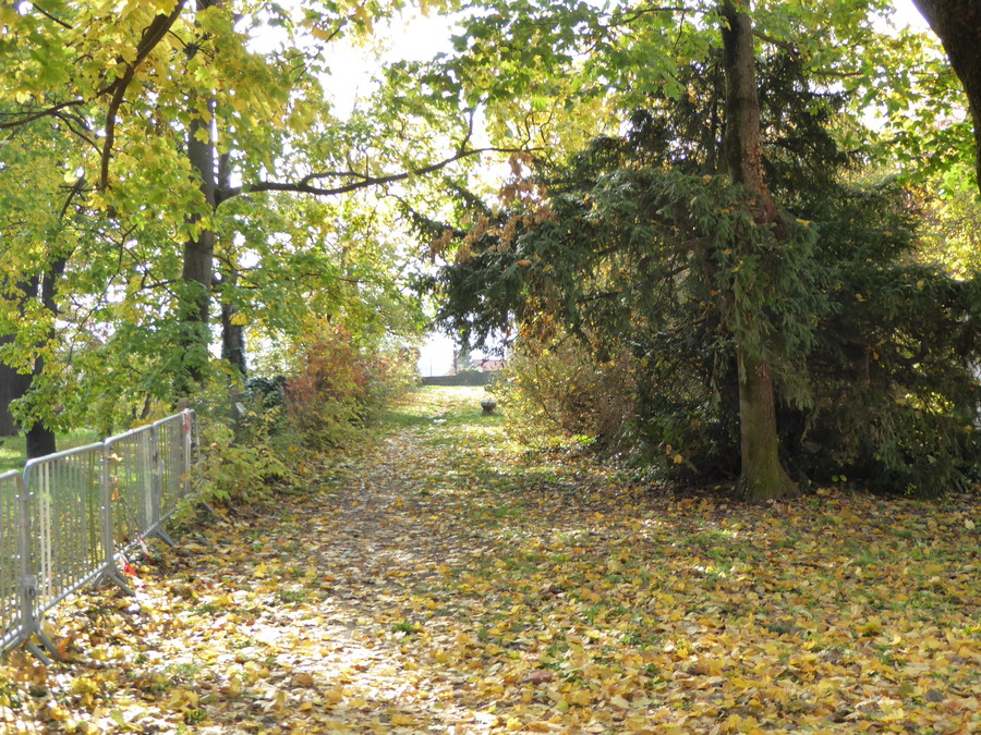 ICI AUSSI C'EST L'AUTOMNE