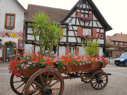 trop beau l’Alsace