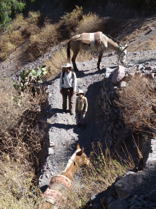 Canyon de Colca