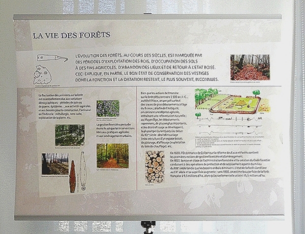 La fête de la Science au Musée du Pays Châtillonnais-Trésor de Vix
