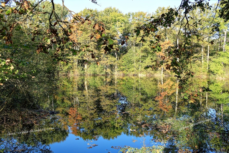 parfum d'automne