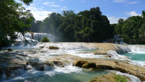 Direction Palenque !