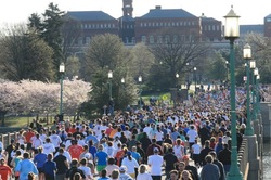 season marathon spring blossoms runners
