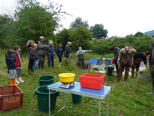 Pêche de sauvetage au gué de Lasserra - 8 juillet 2014