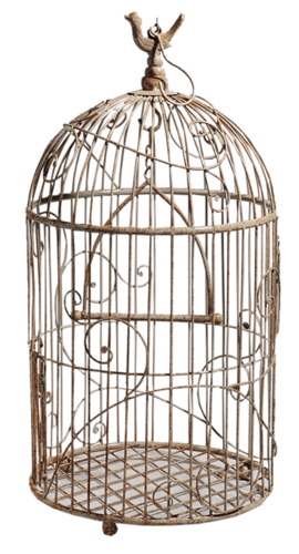 Cages à Oiseau Série 1
