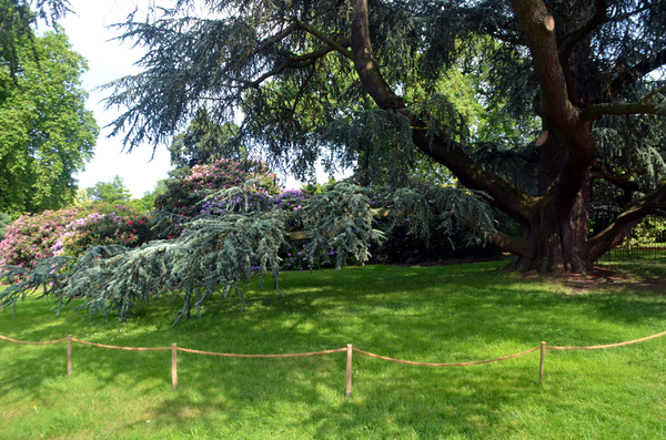 Promenade dans l'Arboretum de la Vallée aux loups et visite de la maison de Châteaubriand