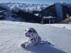 mascotte en montagne