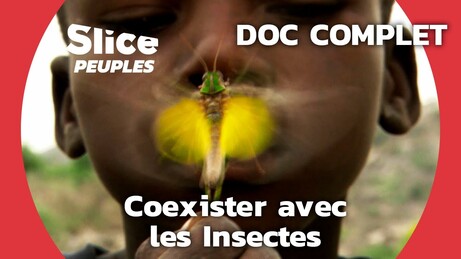 L'impressionnante Symbiose du peuple Mofu avec les Insectes | SLICE PEUPLES  | DOC COMPLET - YouTube