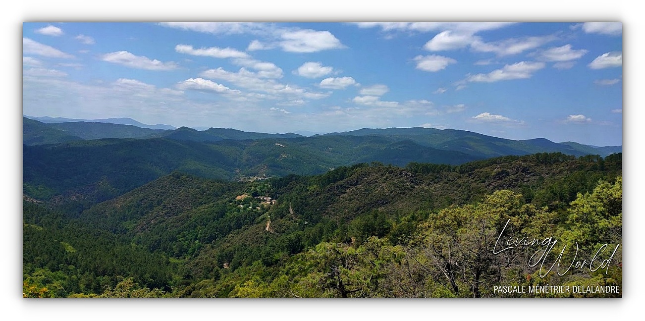 12 06 2022 -  Vue du Castanet
