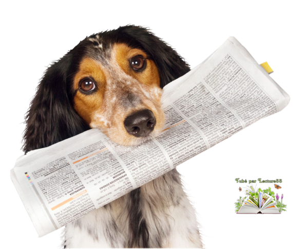 CHIENS AVEC JOURNAL