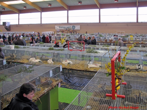 Le salon Avicole de 2014