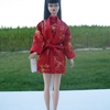 CHINOISERIE RED MOON