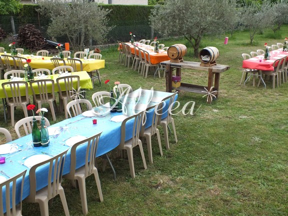 Art de la table - Couleurs #08