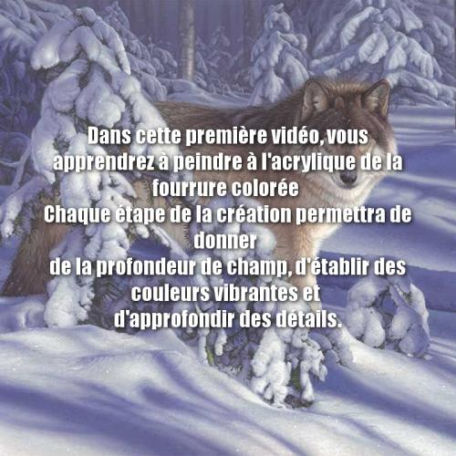Dessin et peinture - vidéo 3462 : Comment peindre un coyote et sa fourrure ? 1/3 - acrylique, huile.
