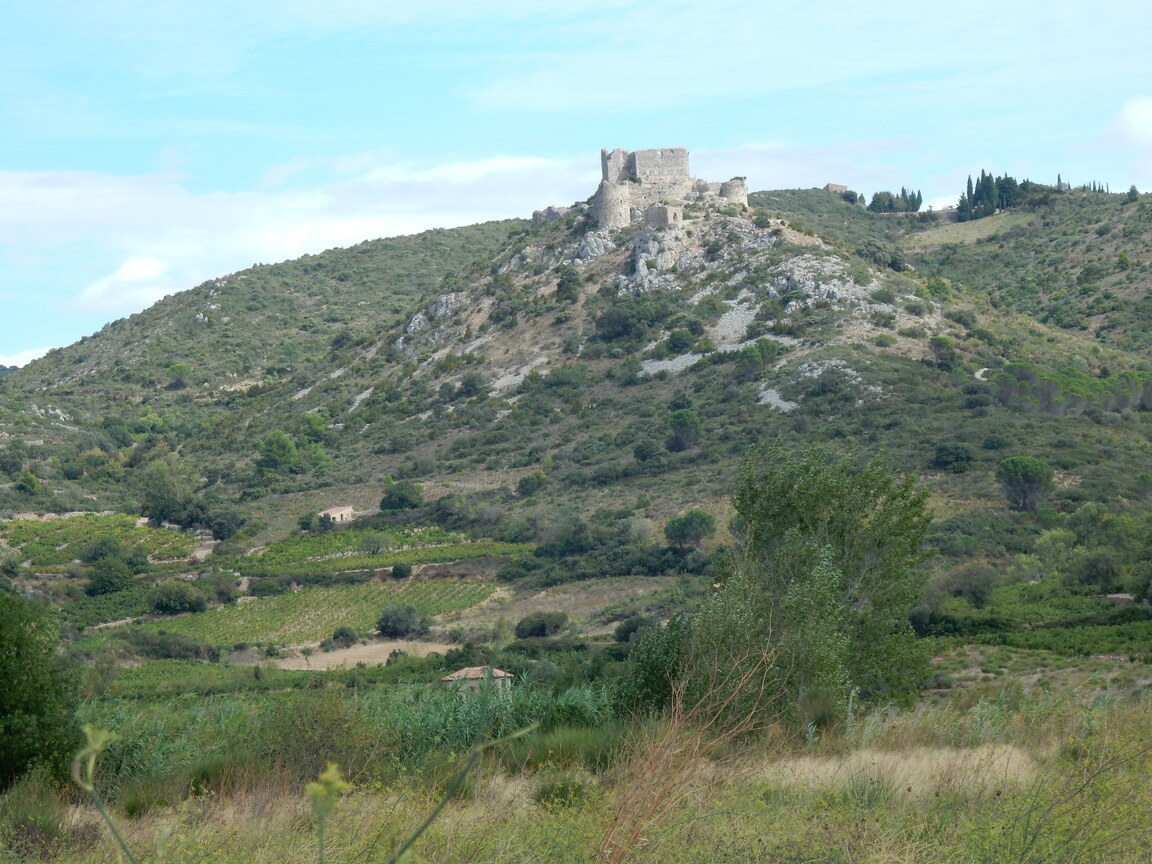 CORBIERES CATHARES CHATEAU D'AGUILAR